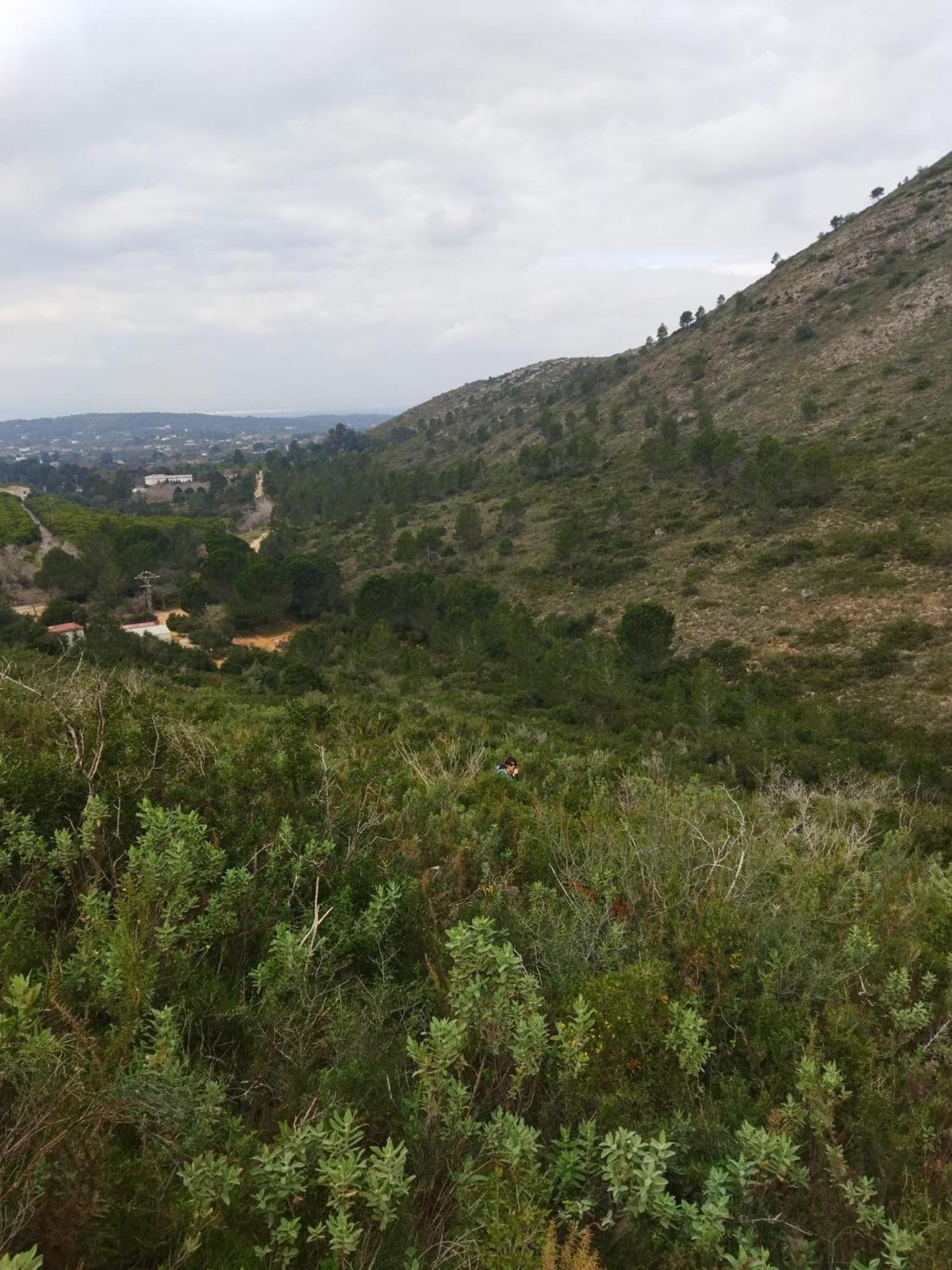 Casa Bienvenida - Carcaixent Panzió Kültér fotó